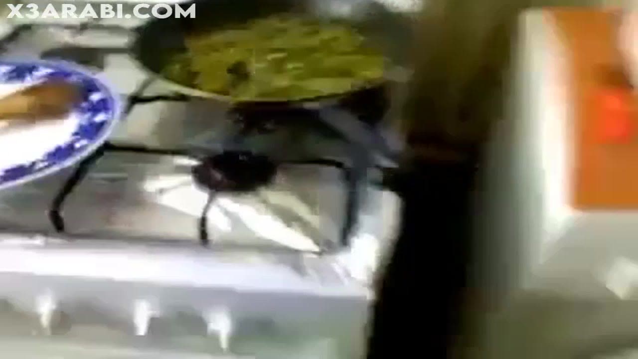 خادمه تمص زب مشغلها - سكس تونسي في المطبخ
