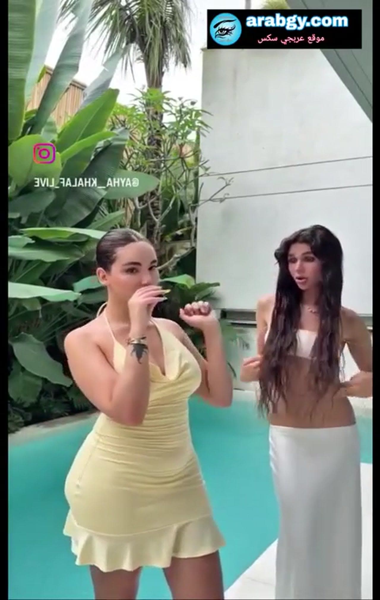 نايا خوري وآية خلف في اجتماع شراميط لبنان - تعري وكلام فاجر ومحن جماعي ونيك بالصناعي
